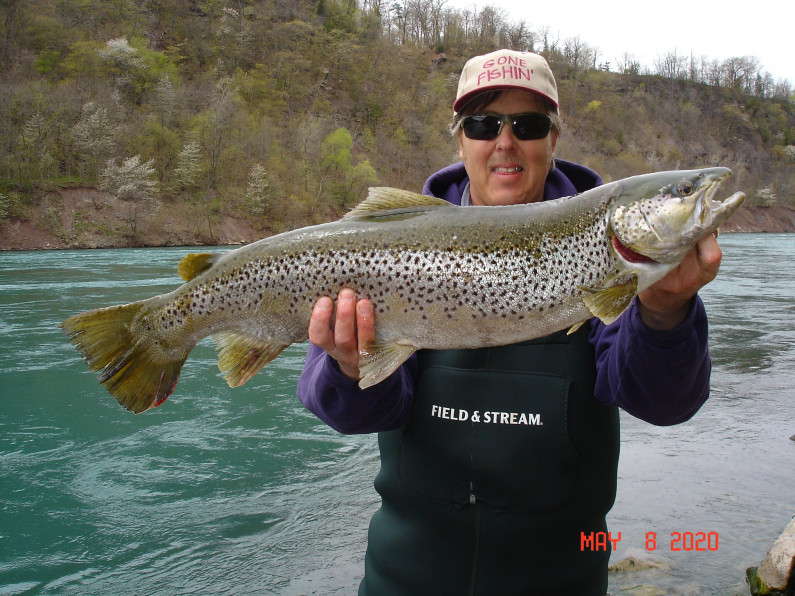 Mike rzucidlo brown trout 5 8 20
